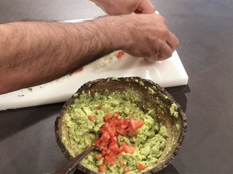 Guacamole Mexicain - 18