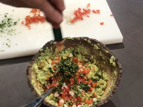 Guacamole Mexicain - 22