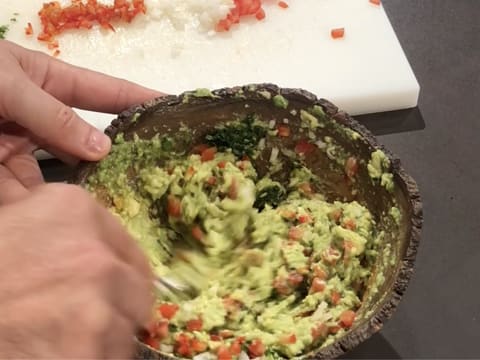 Guacamole Mexicain - 23