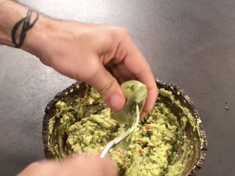 Guacamole Mexicain - 24