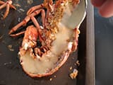 Homard thermidor - 25