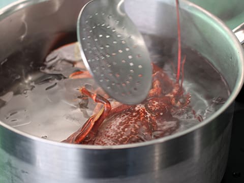 Homard de nos côtes, vin chaud aux fleurs d'hibiscus et choux d'hiver - 39