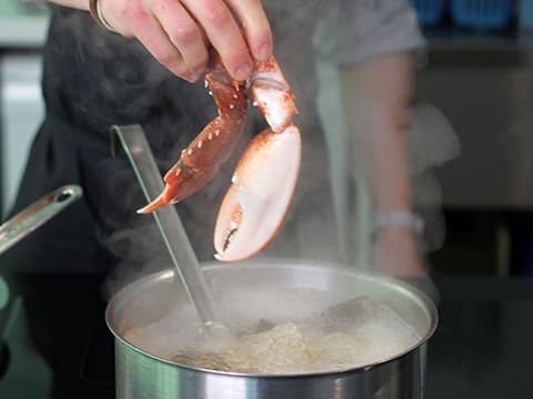 Homard de nos côtes, vin chaud aux fleurs d'hibiscus et choux d'hiver - 41