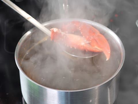 Homard de nos côtes, vin chaud aux fleurs d'hibiscus et choux d'hiver - 52