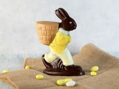 Lapin au chocolat