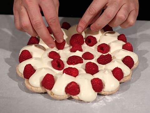 Macaron pistache, framboises et crémeux au chocolat blanc - 48