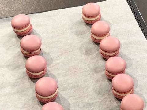 Macarons Kirsch et griottes - 58