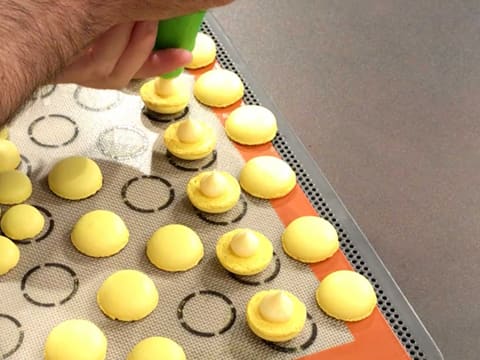 Macaron jaune au citron - 38