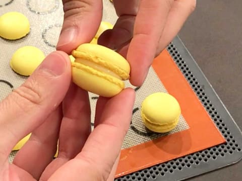 Macaron jaune au citron - 39