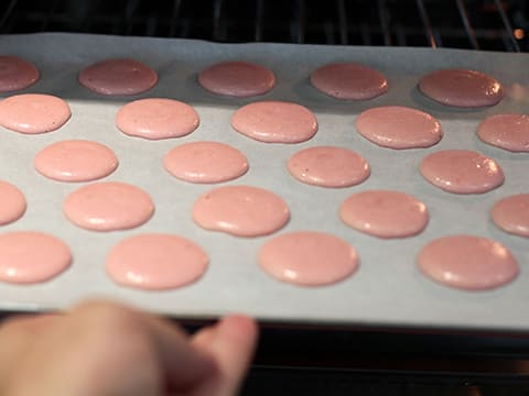 Macarons au pamplemousse et chocolat blanc - 14