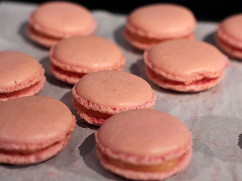 Macarons au pamplemousse et chocolat blanc - 26