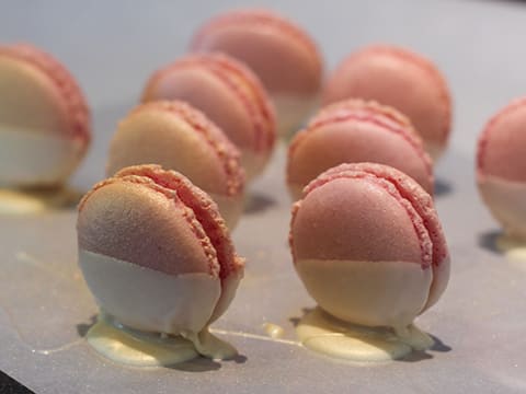 Macarons au pamplemousse et chocolat blanc - 29