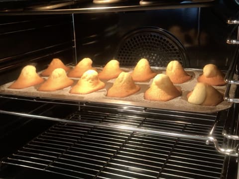 Les madeleines sont en train de cuire et de gonfler dans le four