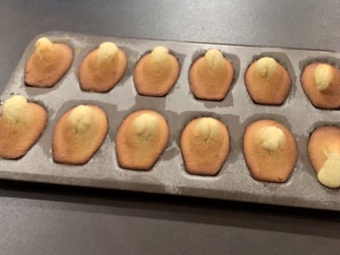 Le moule à madeleines contenant les madeleines cuites, gonflées et dorées est posé sur le plan de travail