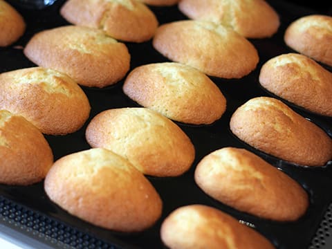 Madeleines enrobées au chocolat - 17