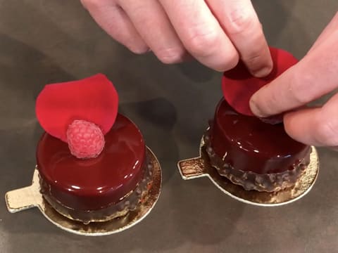 Mini-entremets chocolat framboise - 102