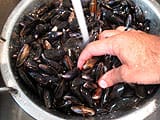 Moules façon camarguaise - 2