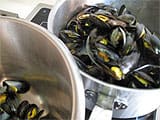 Moules au safran - 7