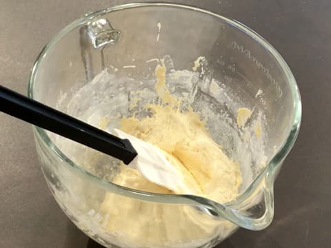 Omelette norvégienne vanille/cassis - 14