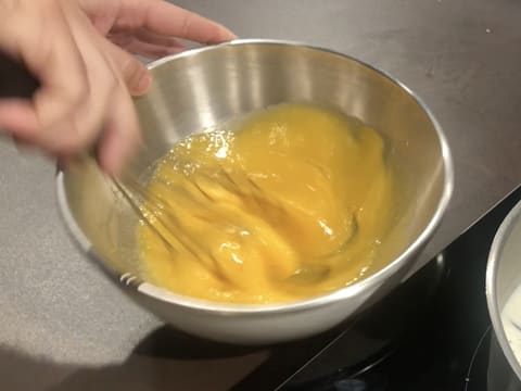 Omelette norvégienne vanille/cassis - 31