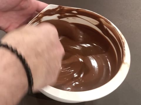 Moulage en chocolat du poisson boule - 10