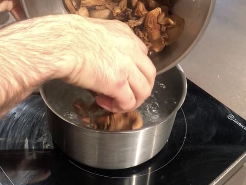 Pleurotes versées dans casserole