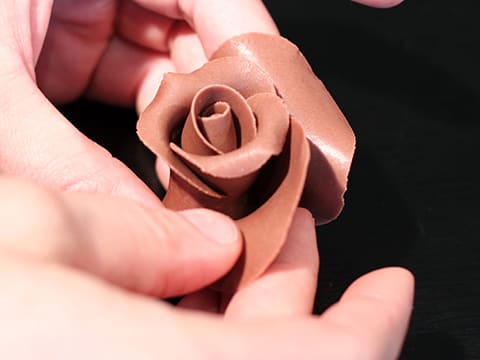 Rose en chocolat plastique - 20