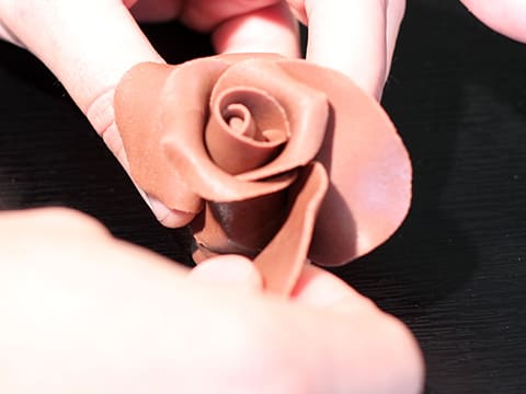 Rose en chocolat plastique - 21