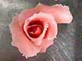 Rose en Pâte d'amande - 13