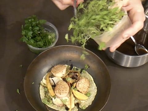 La Saint-Jacques en coquille végétale, rôtie au beurre mousseux et jus truffé - 54