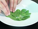 Salade de Lentilles - 13