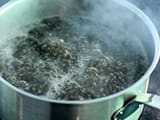 Salade de Lentilles - 6