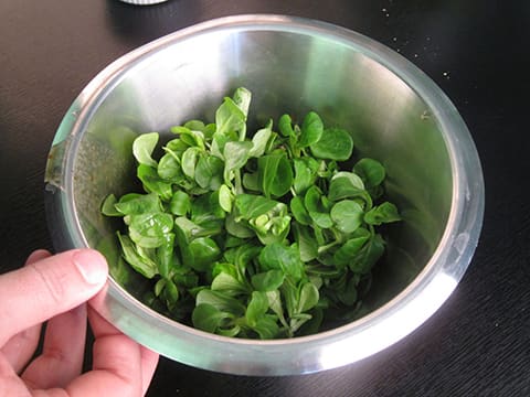 Salade noix de Saint-Jacques et tuiles au parmesan - 18