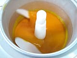 Sorbet à la mangue - 13