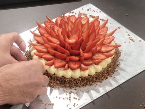 Tarte à la fraise sur son moelleux noisette - 113