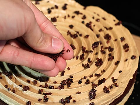 Tarte au chocolat, praliné noisettes - 60