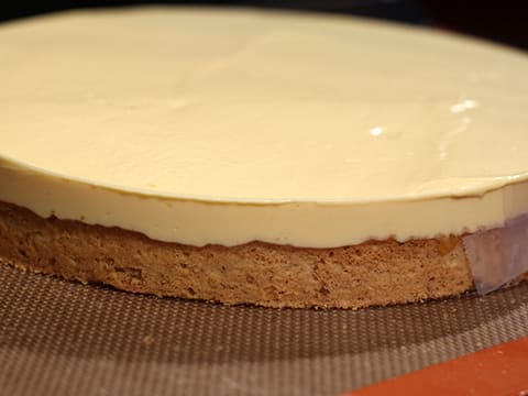 Tarte à la mangue et ganache lactée caramel - 55