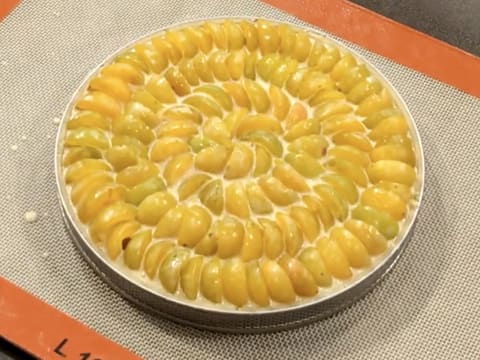 Tarte aux mirabelles - 26