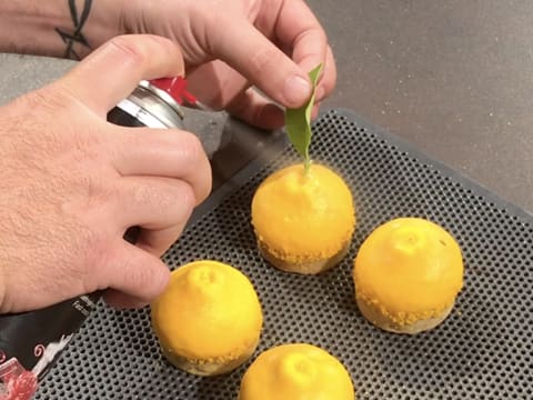 Tartelettes citron de Cédric Grolet - 175