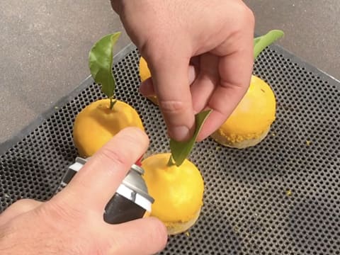 Tartelettes citron de Cédric Grolet - 176