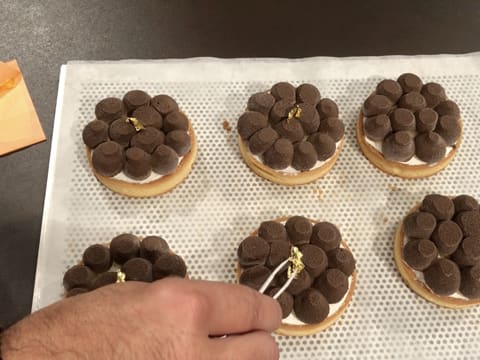 Tartelette praliné amandes/noisettes - 70