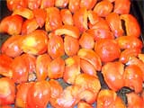 Terrine de rouget et tomates confites - 3