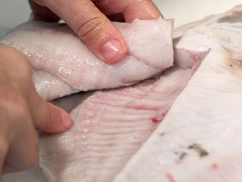 Turbot à la mousseline de Saint-Jacques et girolles sur son écrasé de potimarron - 8