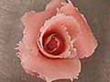 Almond Paste Rose - 14