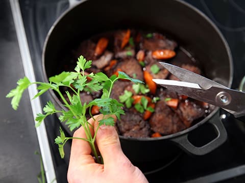Beef Stew with Carrots - 47