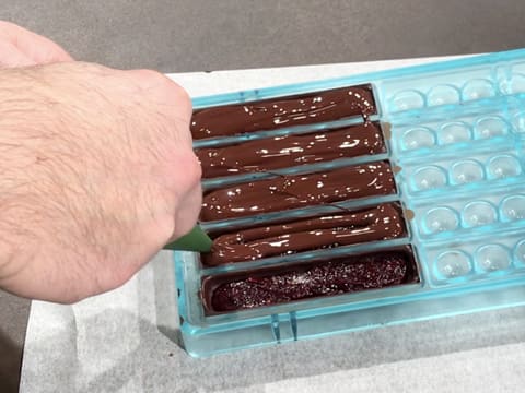 Red Berry Chocolate Bars - 55