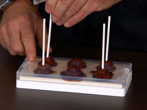 Chocolate & Praline Lollipops - 11