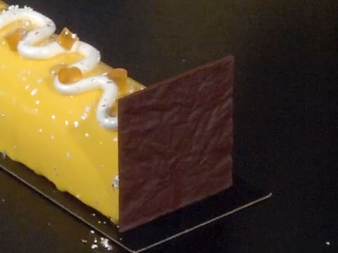 Hazelnut & Passion Fruit Yule Log - 118