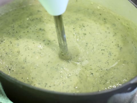 Courgette Velouté - 19