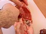 Cutting raw a rabbit - 2